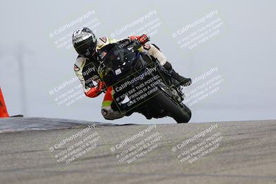 media/Feb-21-2025-Lets Ride (Fri) [[f483f33afd]]/Race Group/11am (Outside Grapevine)/